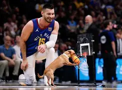 AYXGAME-丹佛掘金训练开放日，赛前更衣室发声引欢呼，法国杯在即，数据趋势出现新变化